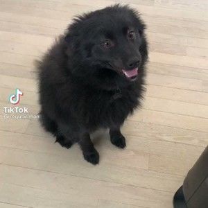 Meet your Posher, Madeleine